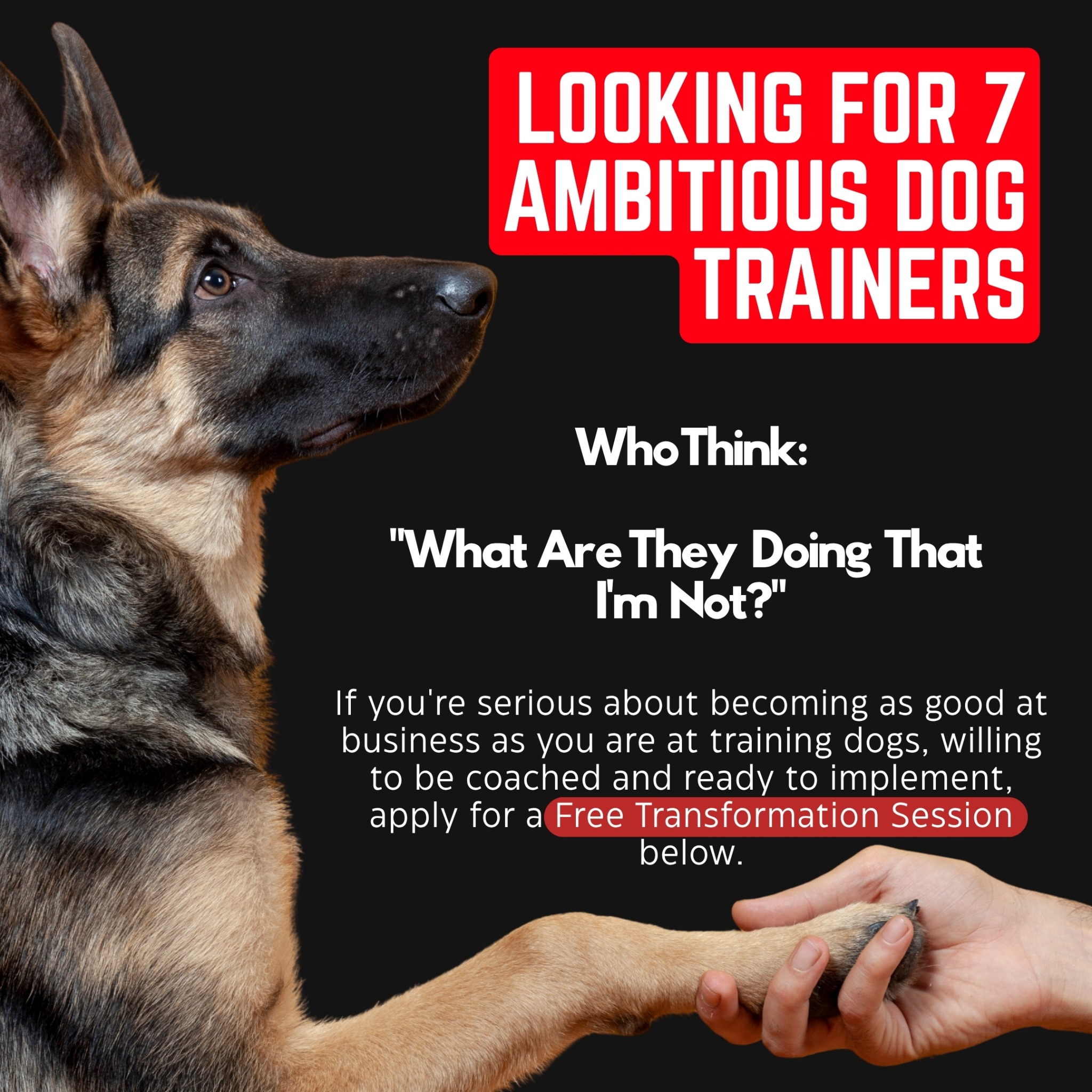 Canine Conversions Facebook ad