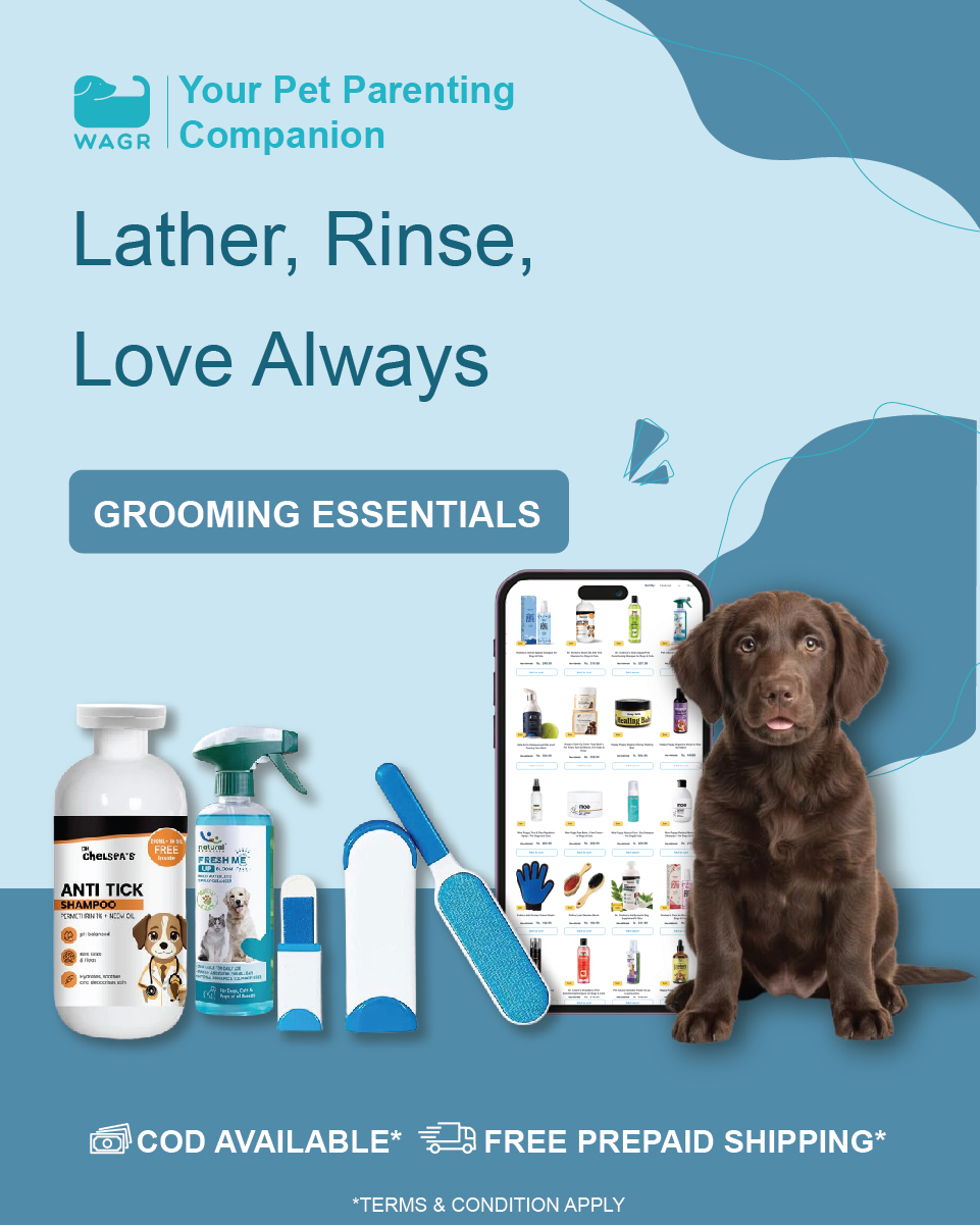 Wagr Facebook ad: Less Searching. More WAGR.