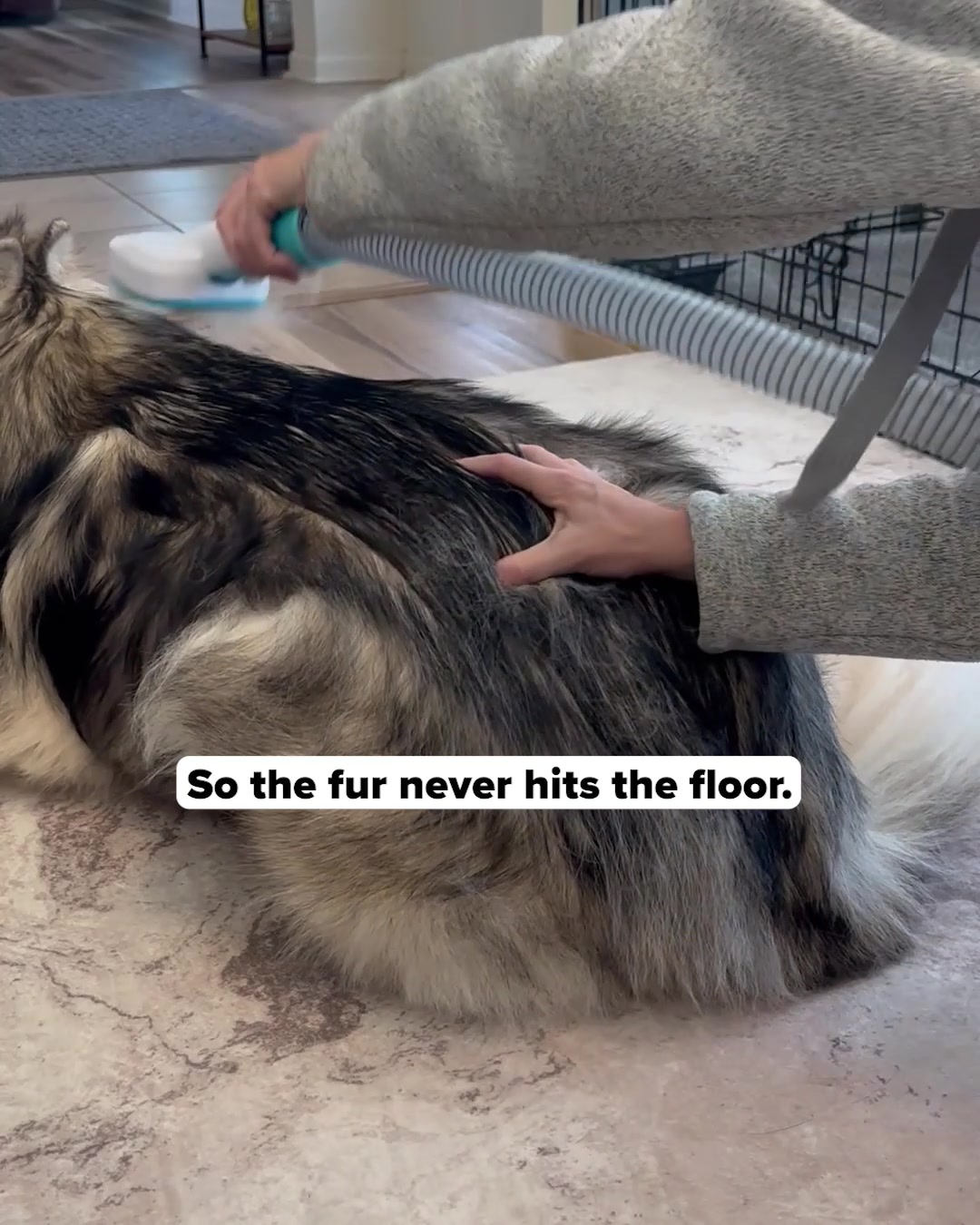 Uproot Clean Facebook ad: $150 per grooming visit.