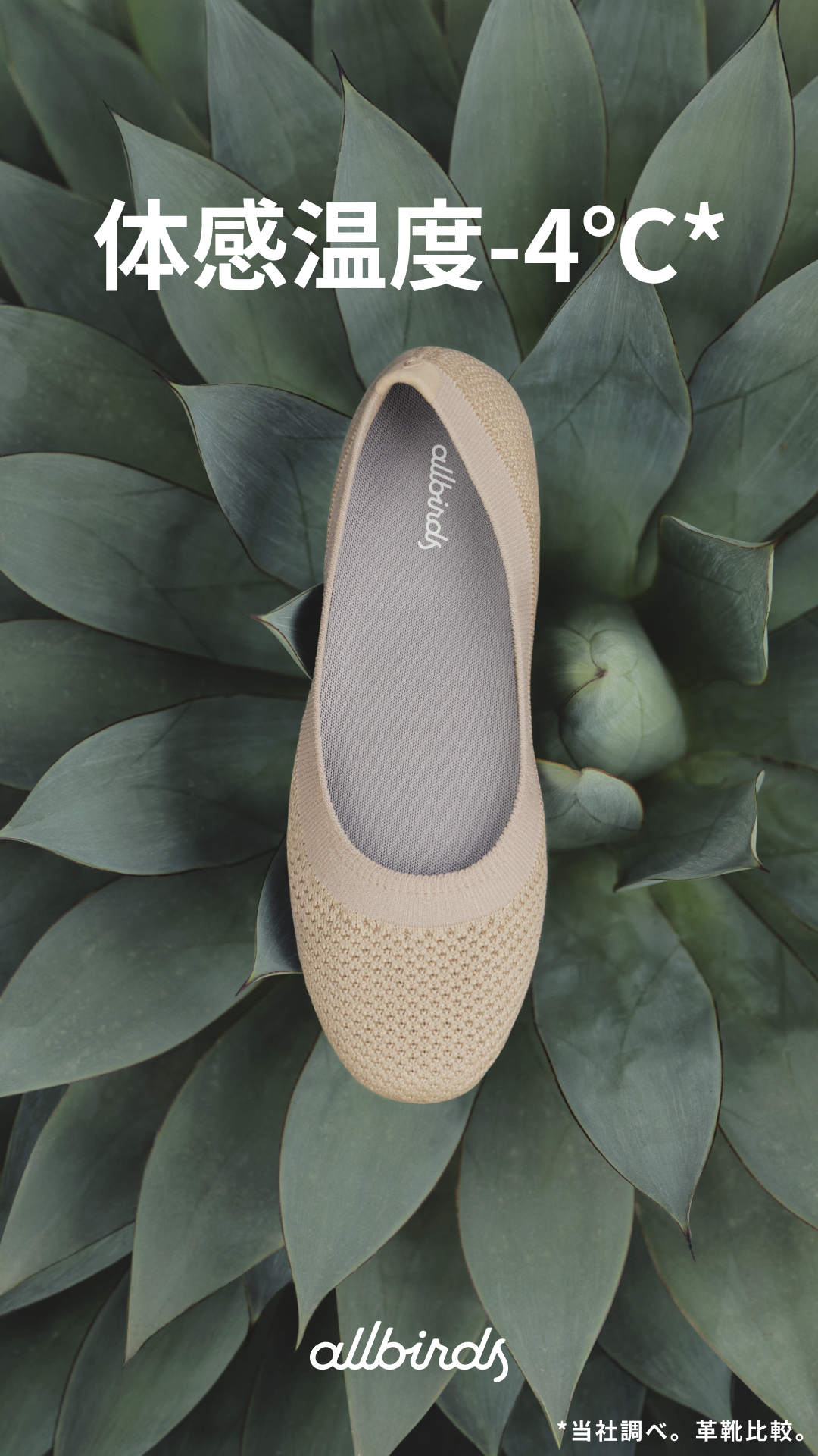 Allbirds Japan Facebook ad