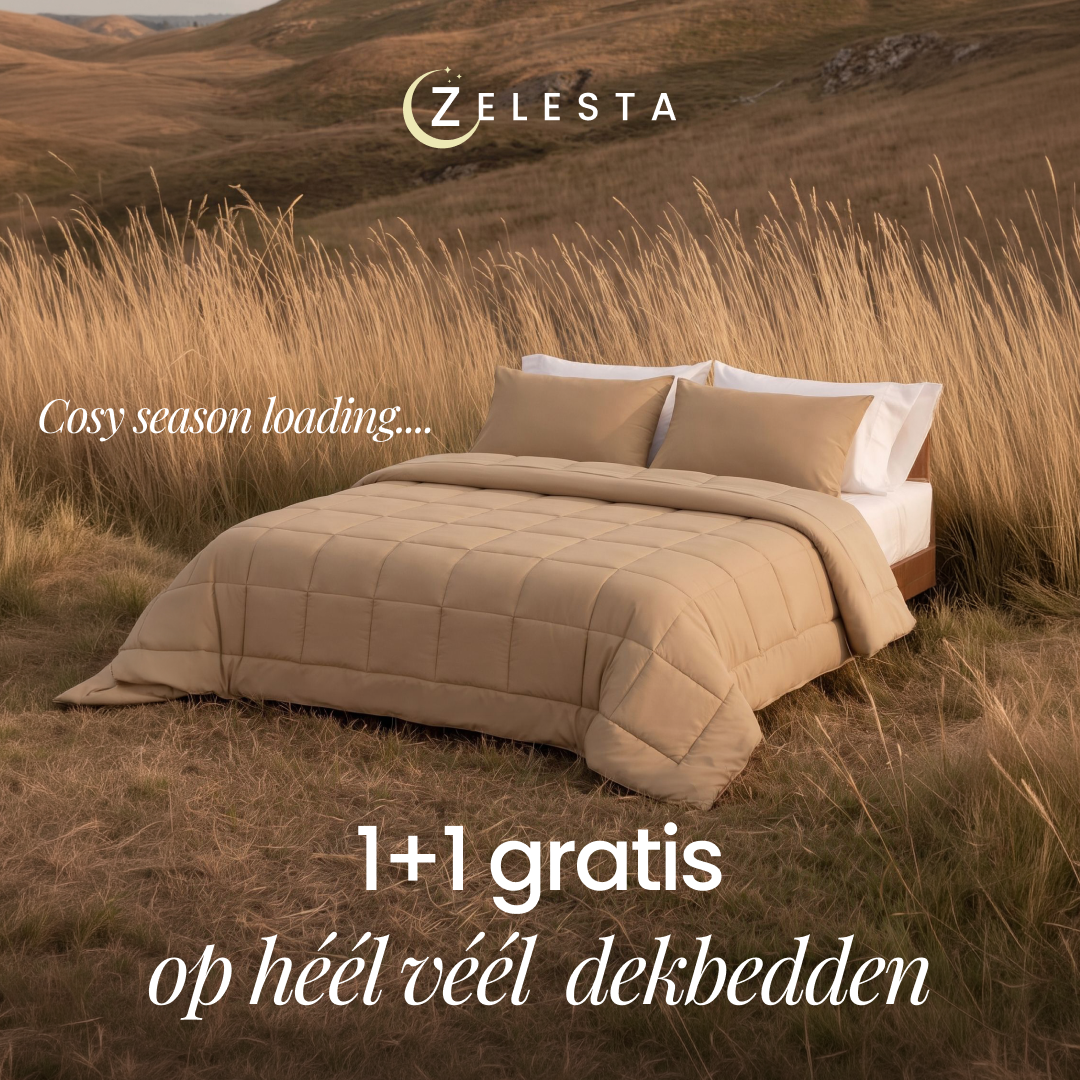 Zelesta.nl Facebook ad