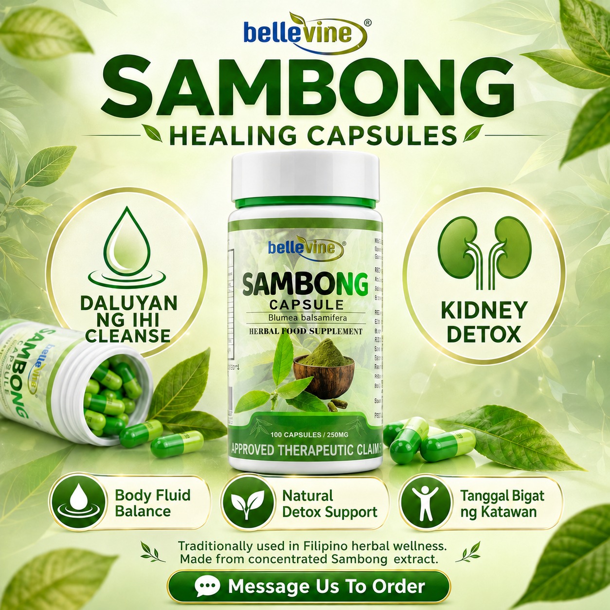 Sambong Healing Capsules PH Facebook ad