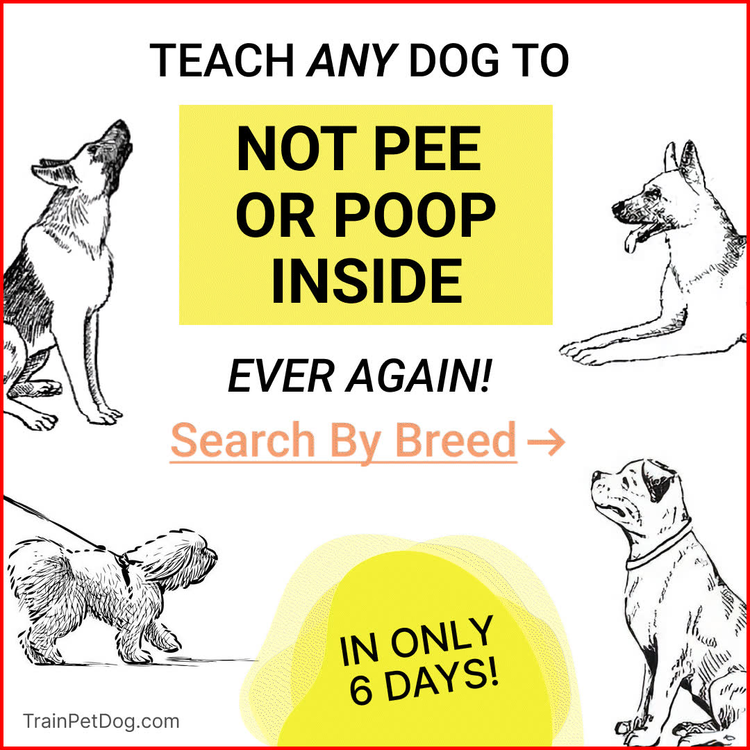 Train Pet Dog Facebook ad: Potty Train Your Dog In 6 Days