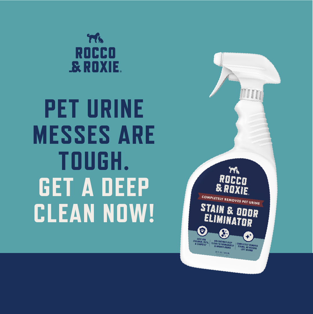 Rocco & Roxie Supply Co Facebook ad: Eliminate Stains & Odors