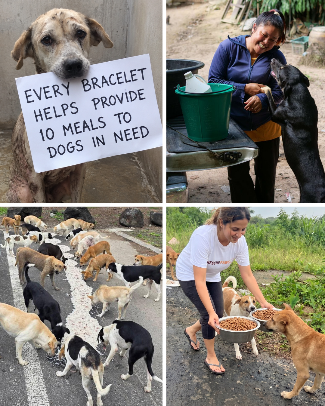 Rescue Paws Facebook ad