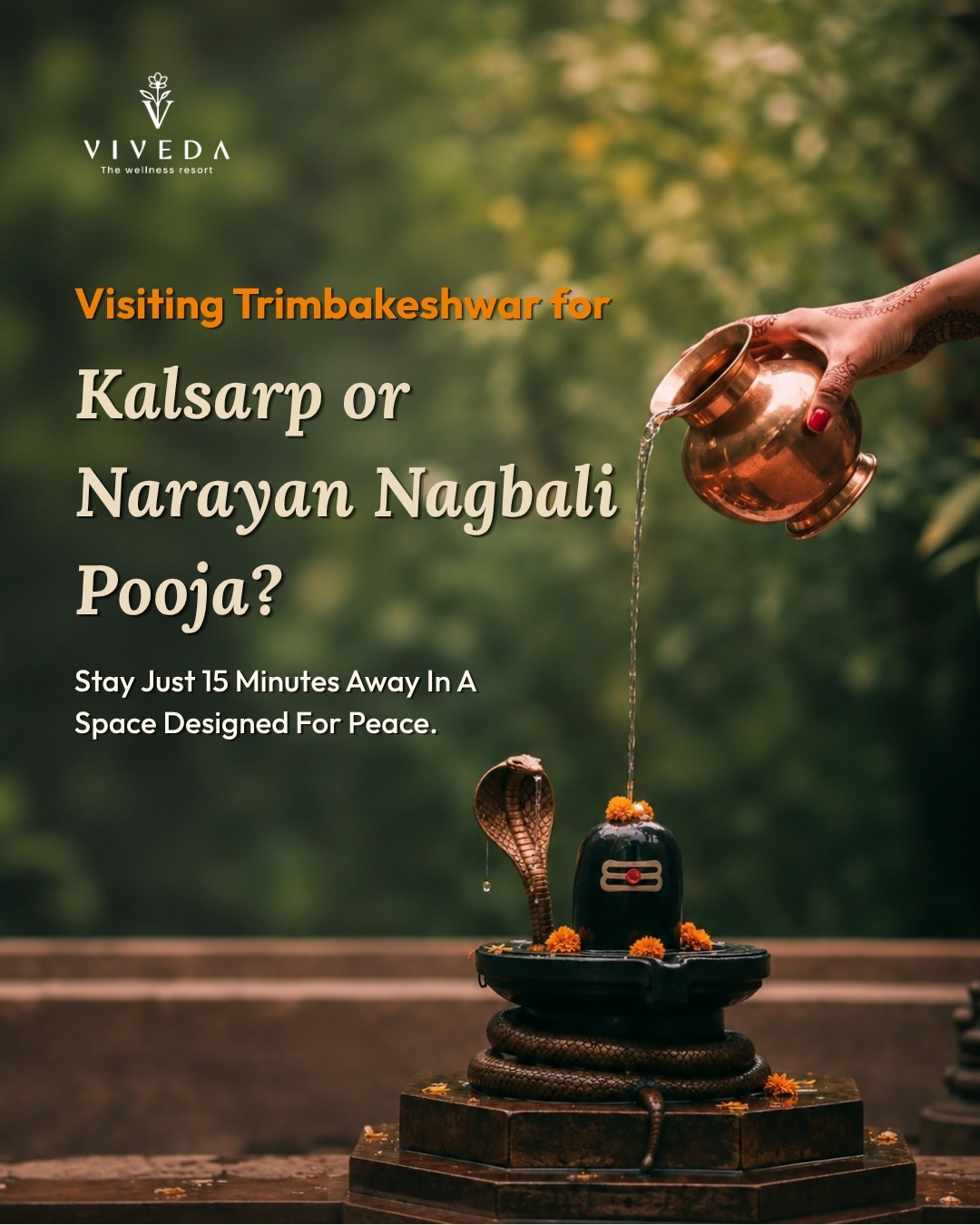 Viveda Wellness Resort Facebook ad