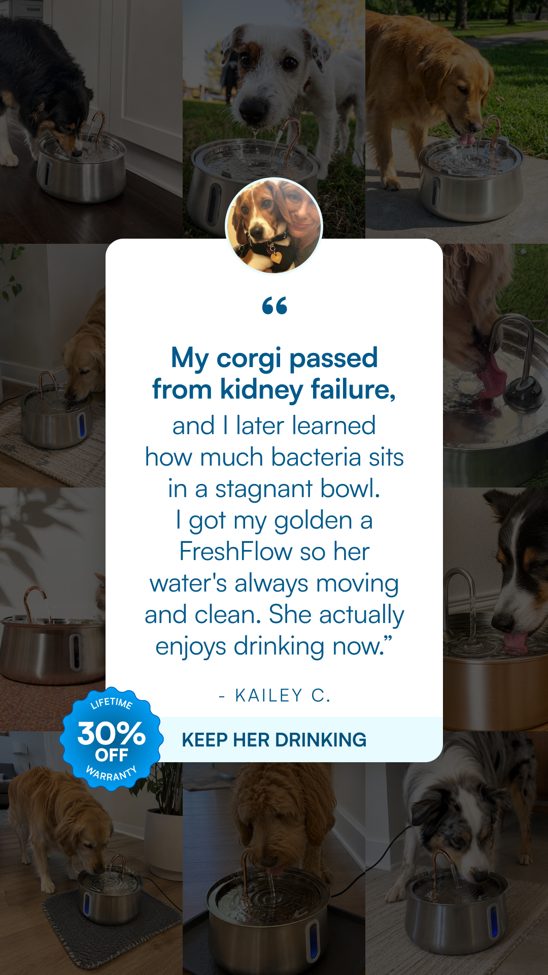 Rhykin Pet Co Facebook ad