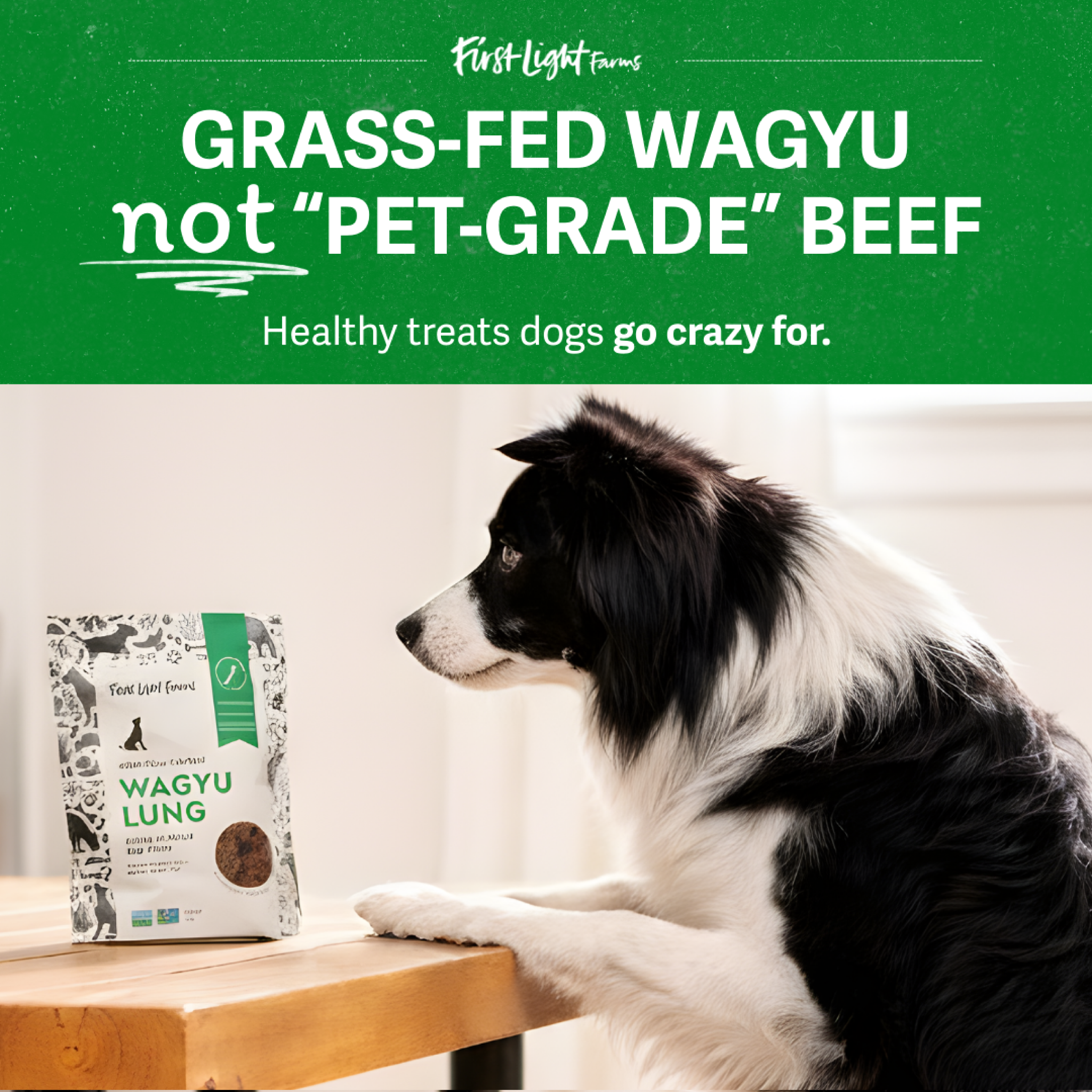 First Light Farms Dogs Facebook ad
