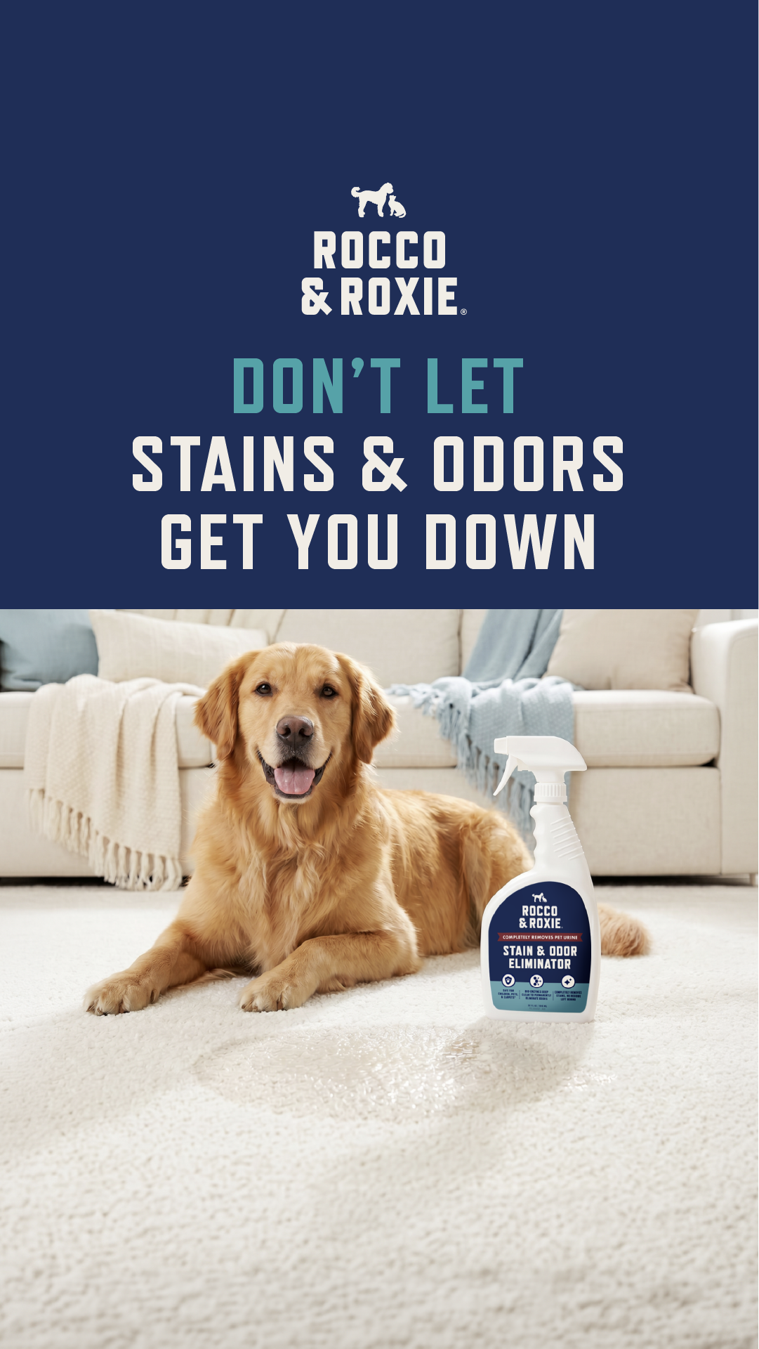 Rocco & Roxie Supply Co Facebook ad: Eliminate Stains & Odors