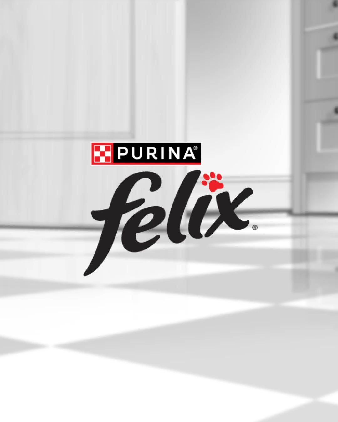 Purina Felix Facebook ad: Tu gato no podrá resistirse