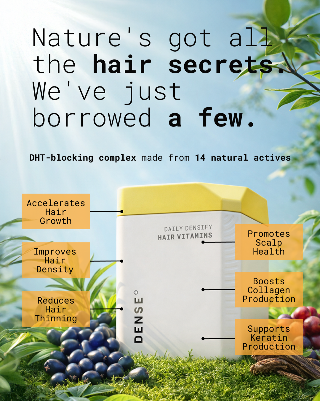 Dense Hair Experts Facebook ad