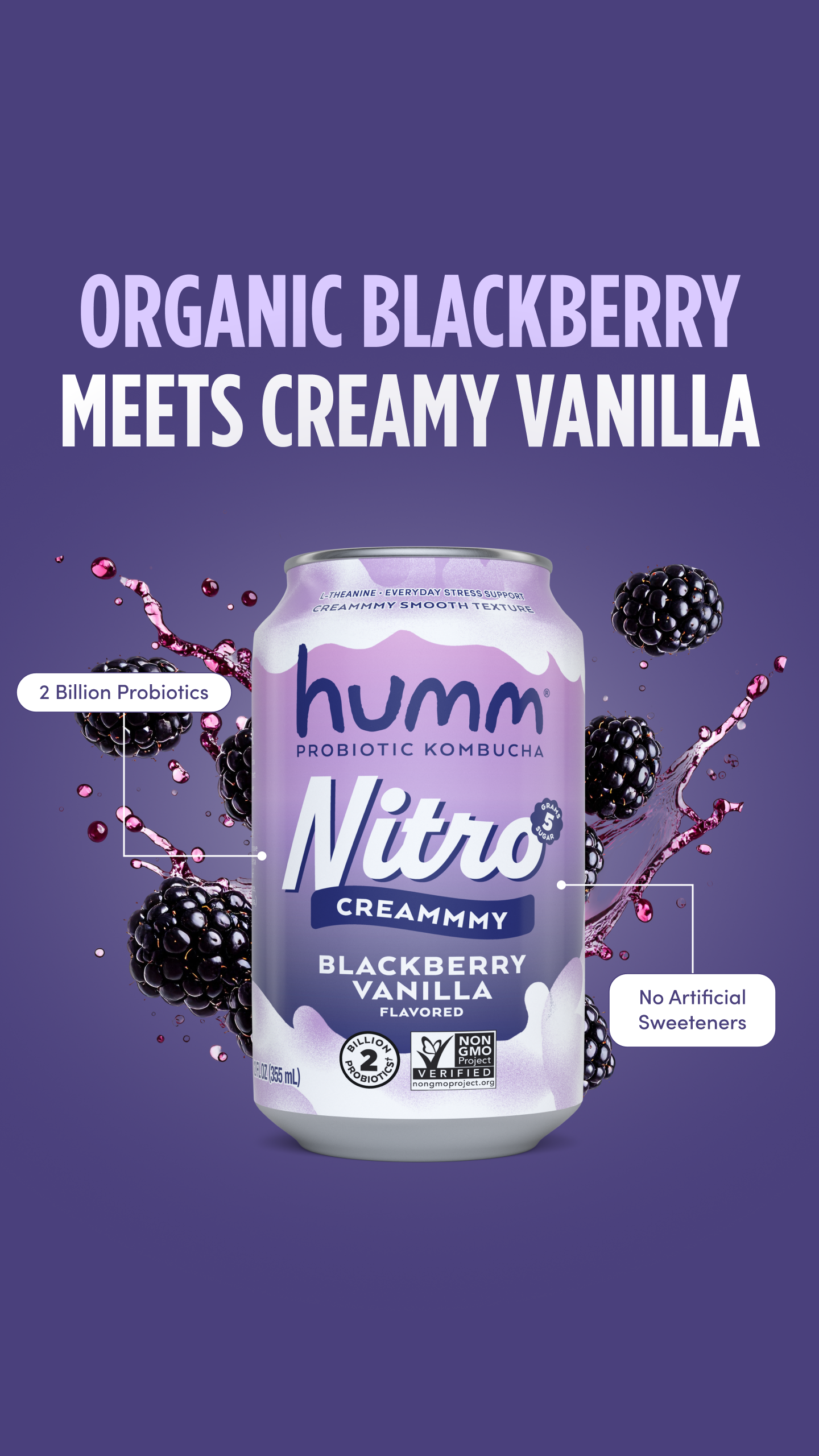Humm Kombucha Facebook ad from Aug 3, 2026
