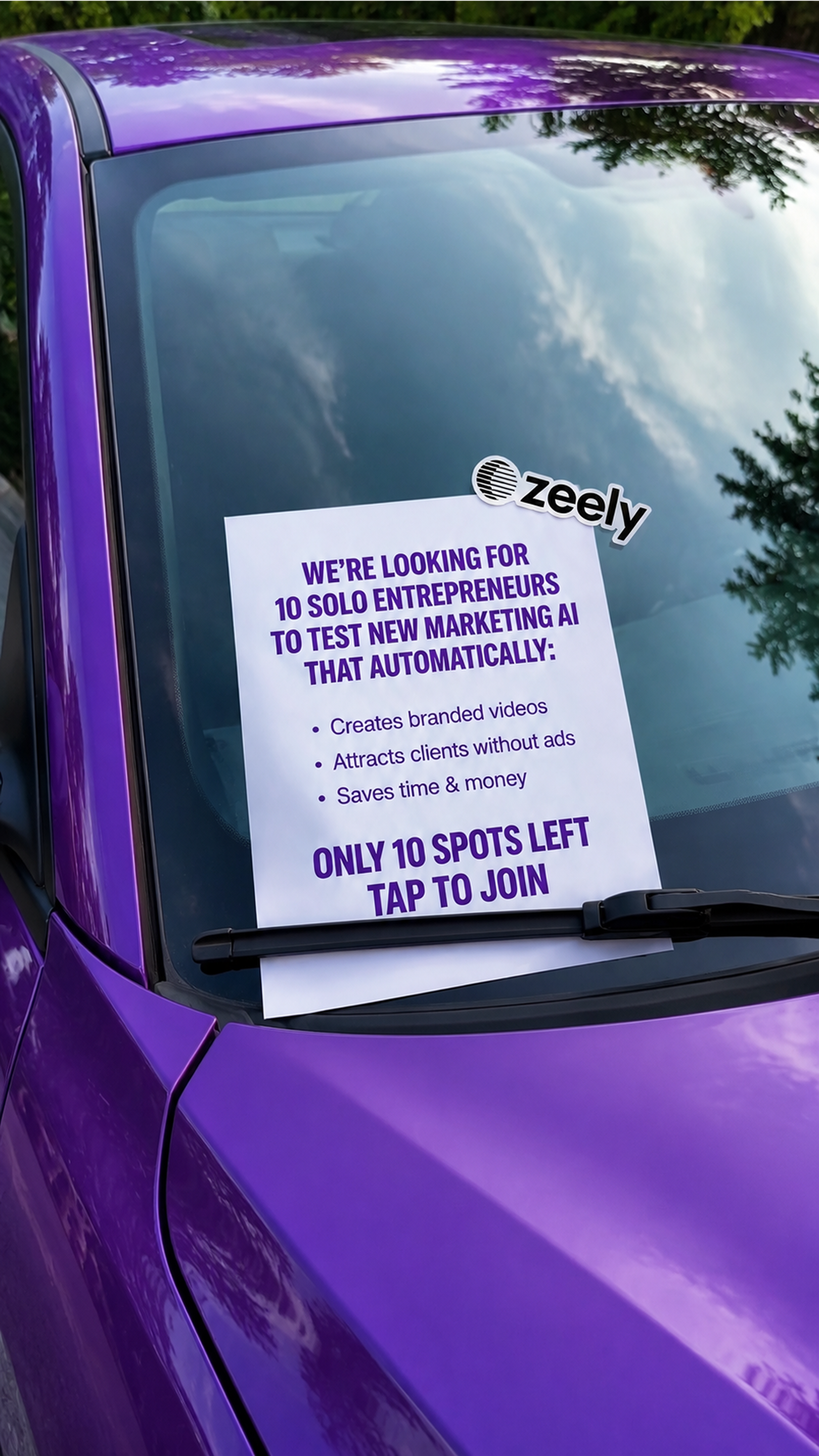 Zeely Facebook ad