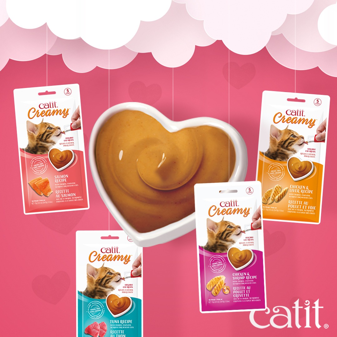 Catit Canada Facebook ad