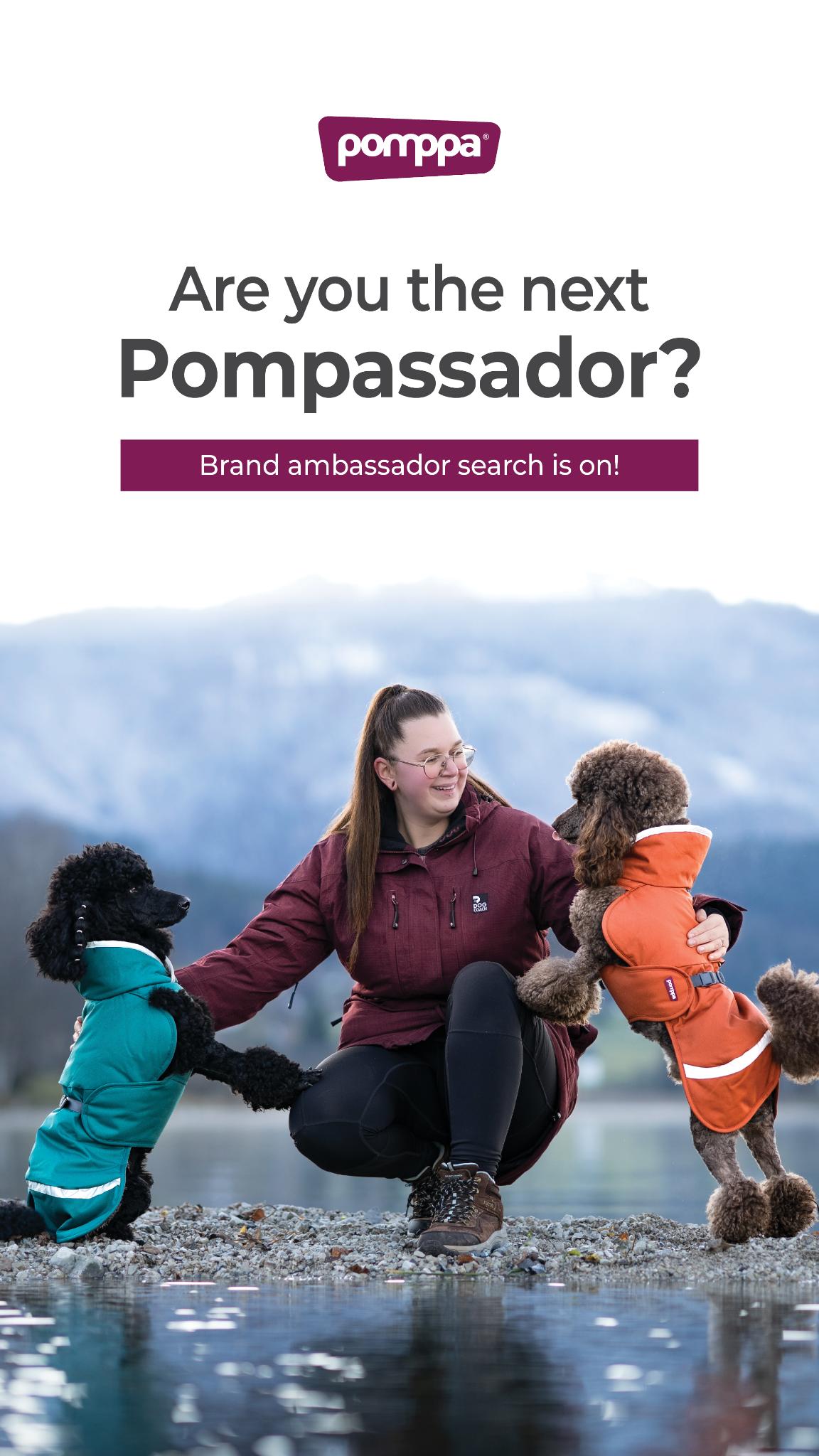 Pomppa Dogwear Facebook ad