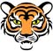Tiger Martial Arts in Bicester