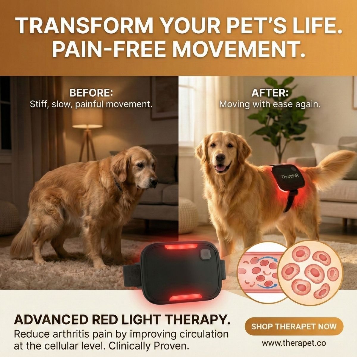 Therapet Co Facebook ad