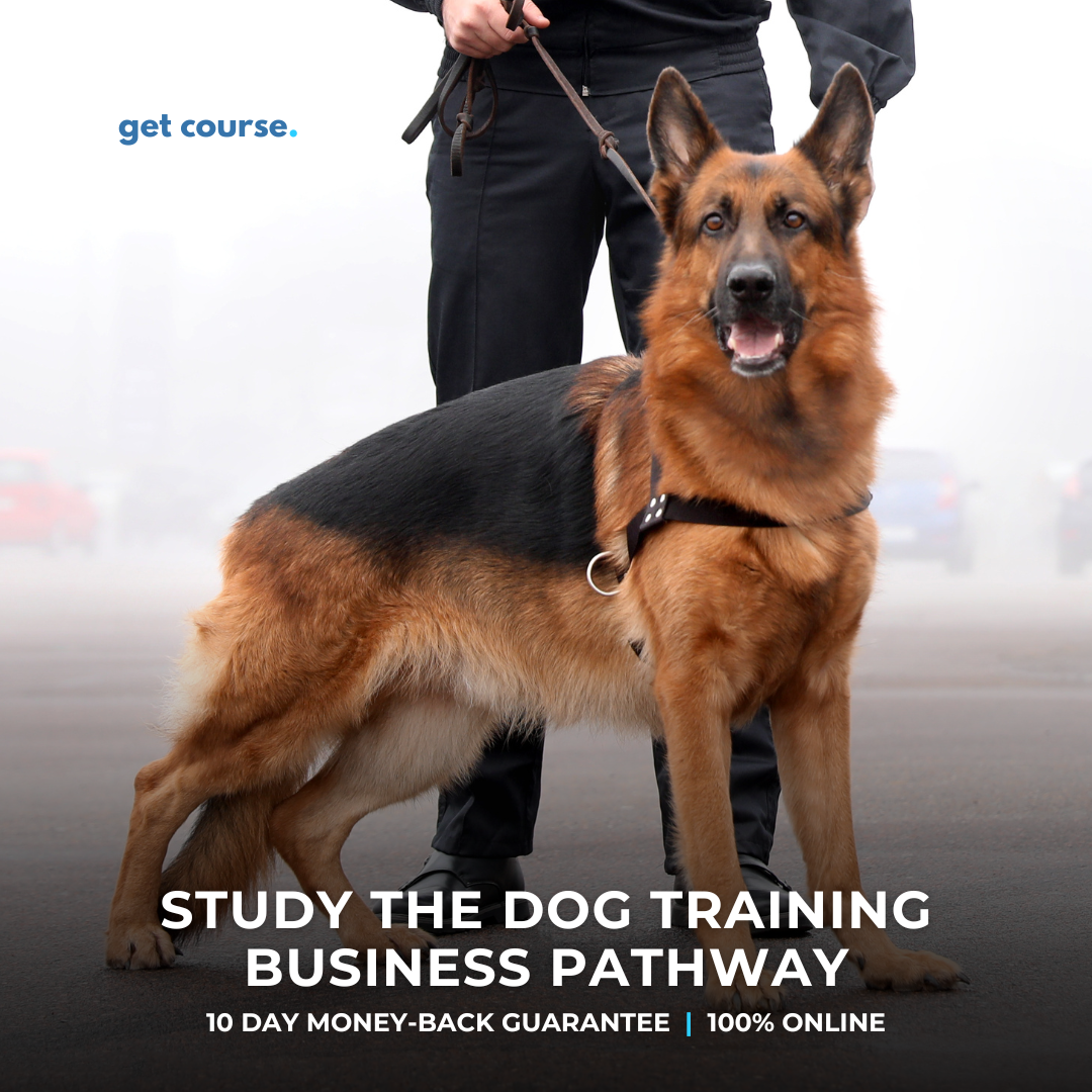Get Course Co Facebook ad