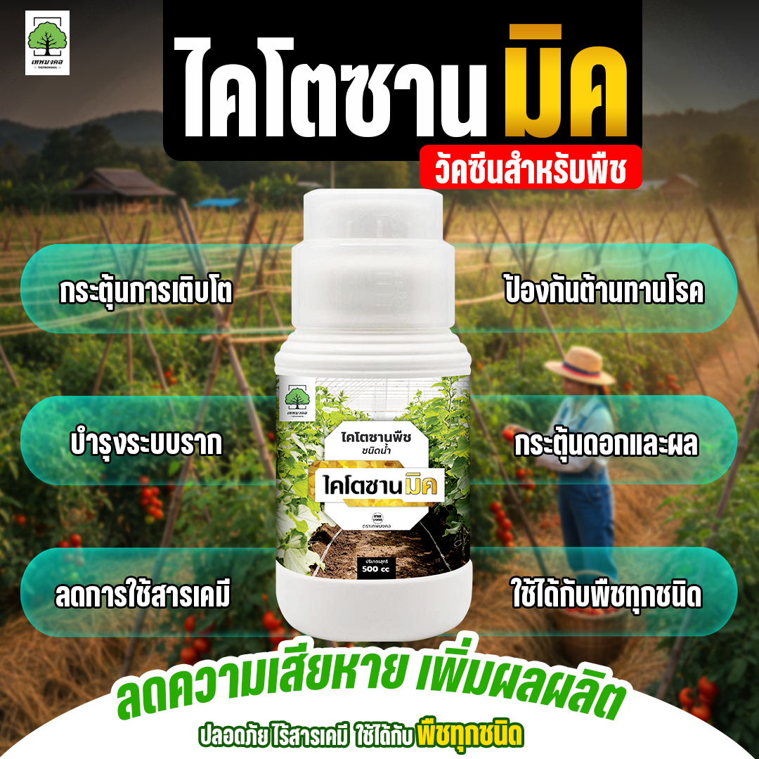 ไคโตซานมิค สูตรพรีเมี่ยม เพิ่มภูมิต้านทาน Facebook ad