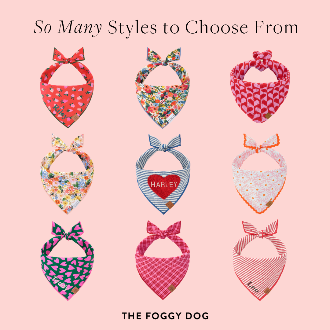 The Foggy Dog Facebook ad