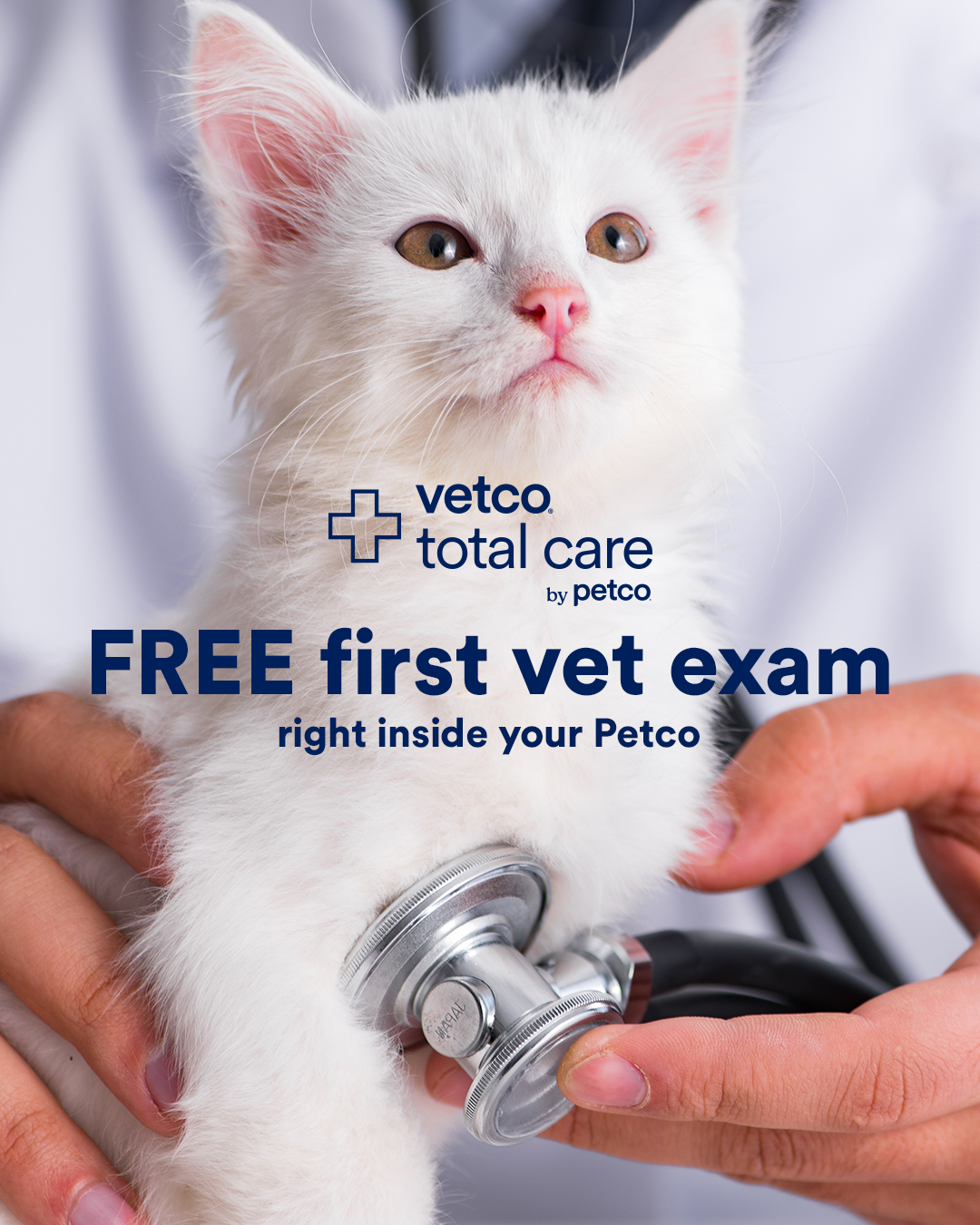 Petco Facebook ad