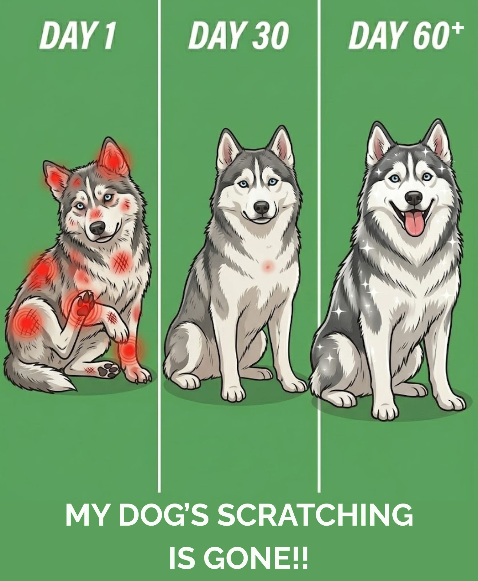 ZenPaw  Facebook ad