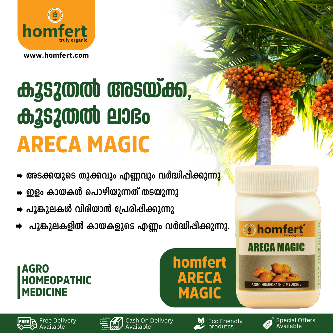 Homfert Facebook ad