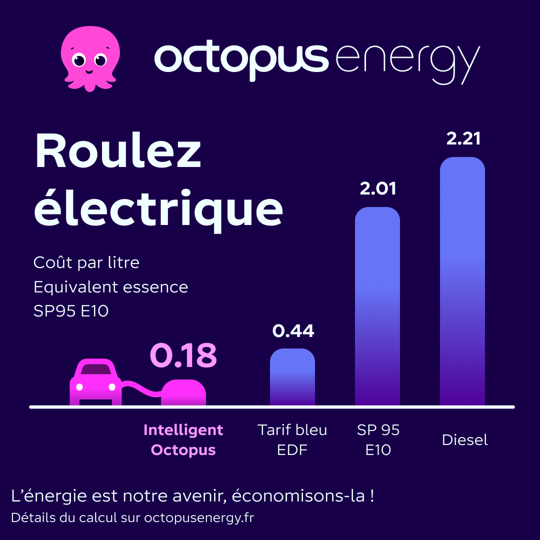 Octopus Energy Facebook ad