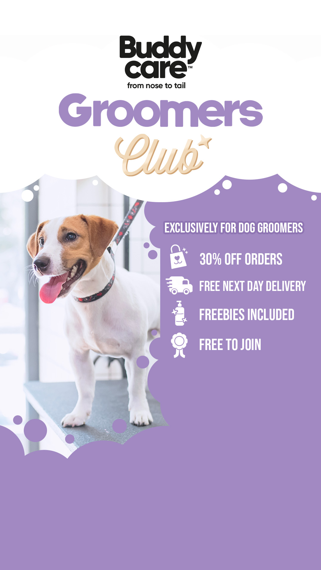 Buddycare Grooming Facebook ad