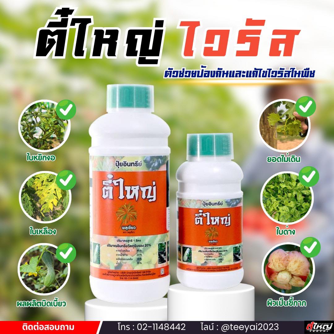 กำจัดโรคเพลี้ยไฟไรแดง โดยตี๋ใหญ่ Facebook ad: พืชมีอาการแบบนี้อยู่หรือเปล่า?