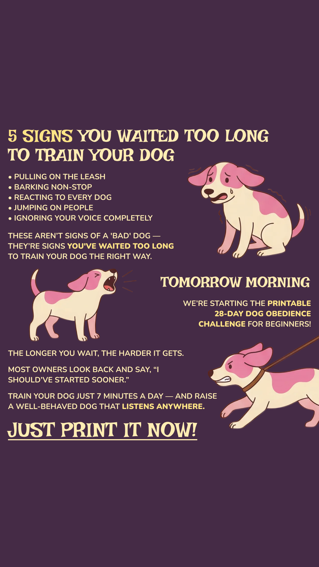 28 Day Dog Obedience Challenge Facebook ad
