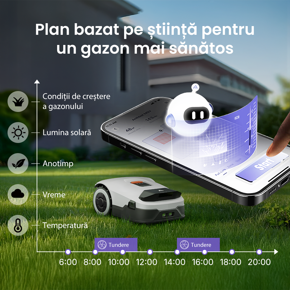 Gazonul Facebook ad
