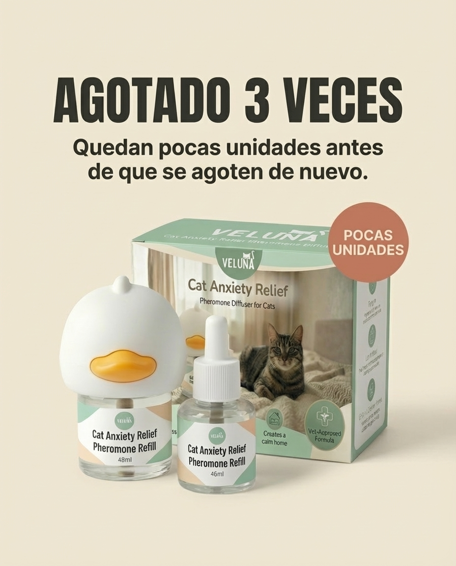 Veluna Mexico Facebook ad: La verdadera razón detrás del mal comportamiento felino