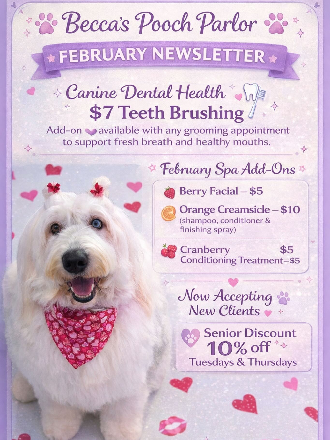 Becca’s Pooch Parlor Facebook ad: February is here, and we wanted to share…