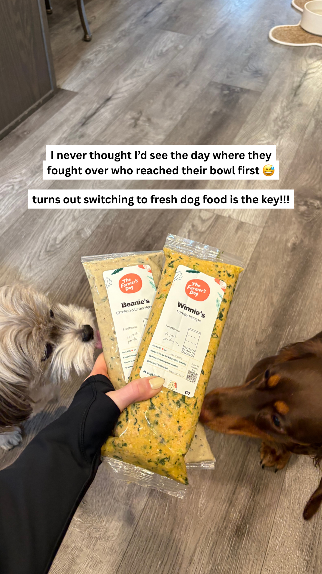 Rounds Of A Paws Facebook ad