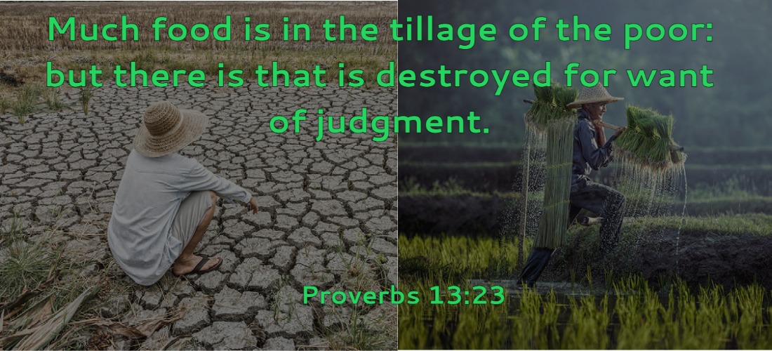 Wisdom of Solomon's Proverbs Facebook ad