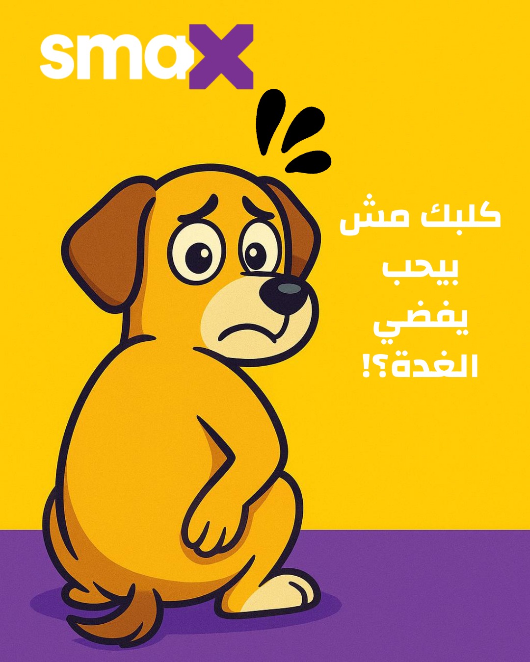 Smax Egypt Facebook ad: smaX Egypt | Premium Dry Dog & Cat Food in Egypt