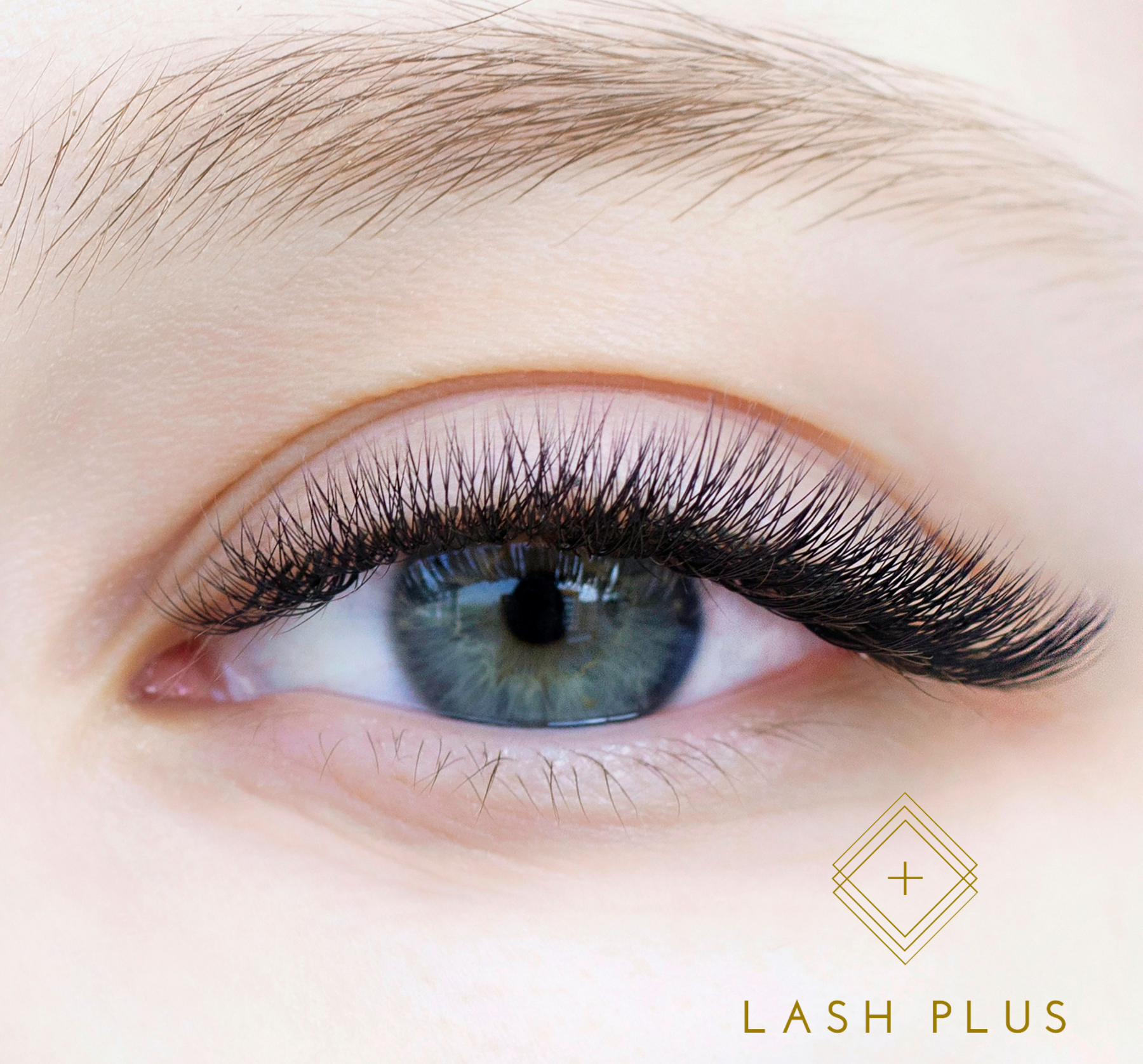 Lash Plus - International Facebook ad