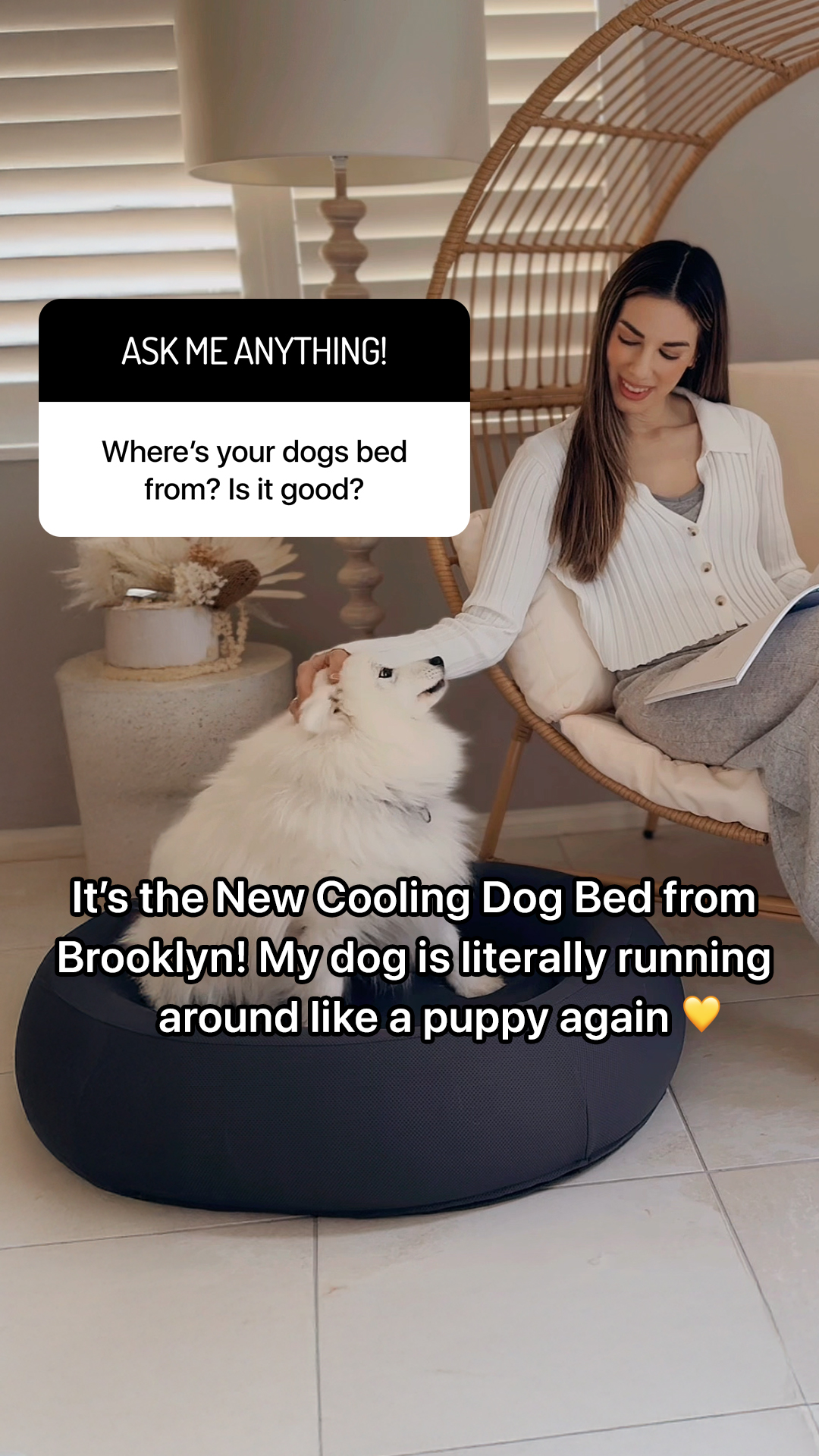 The Brooklyn Facebook ad