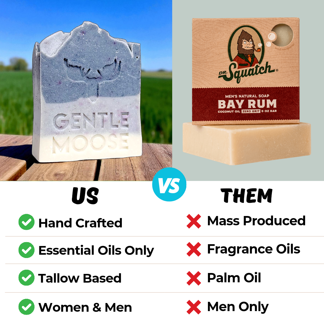 Gentle Moose Facebook ad from Dec 9, 2025