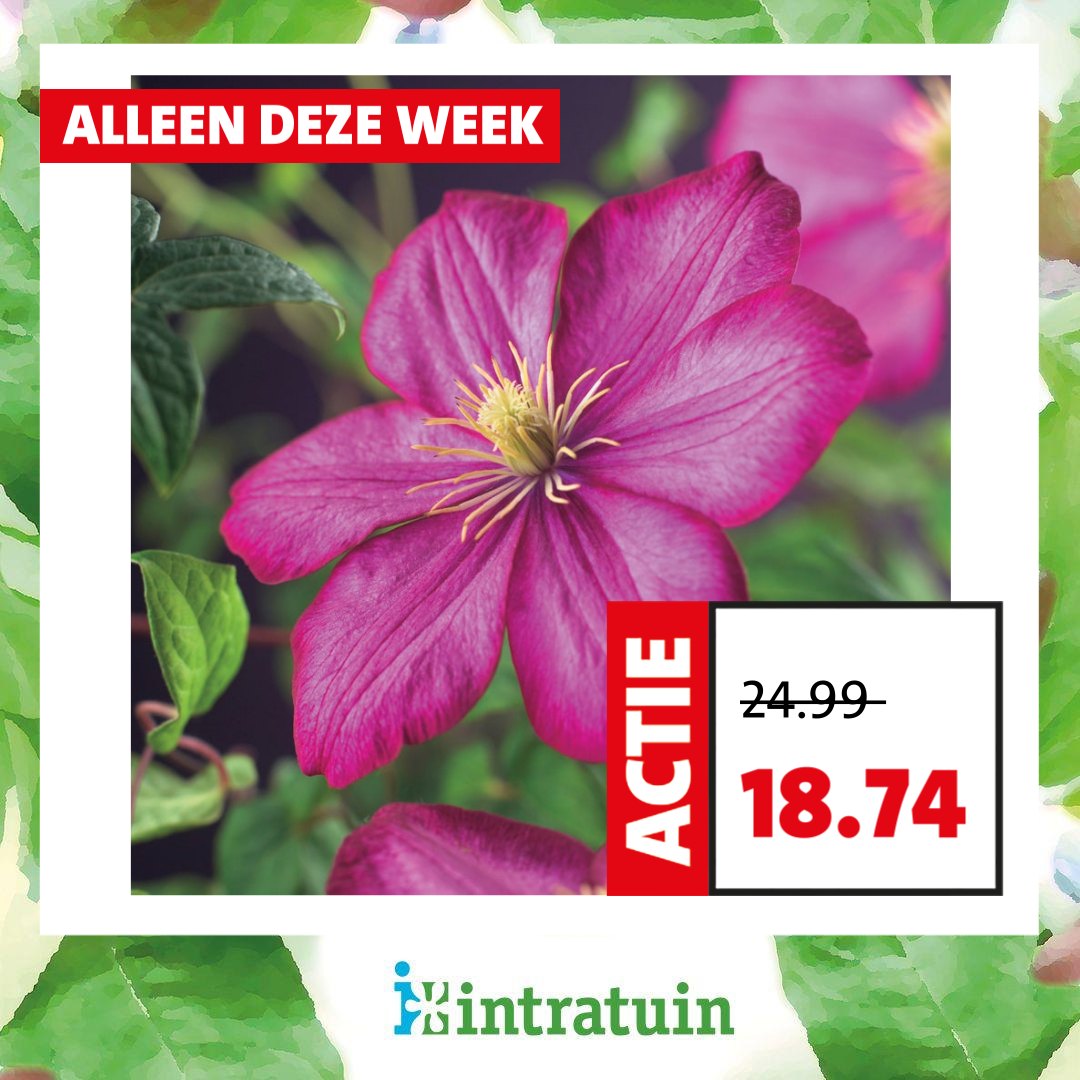 Intratuin Facebook ad