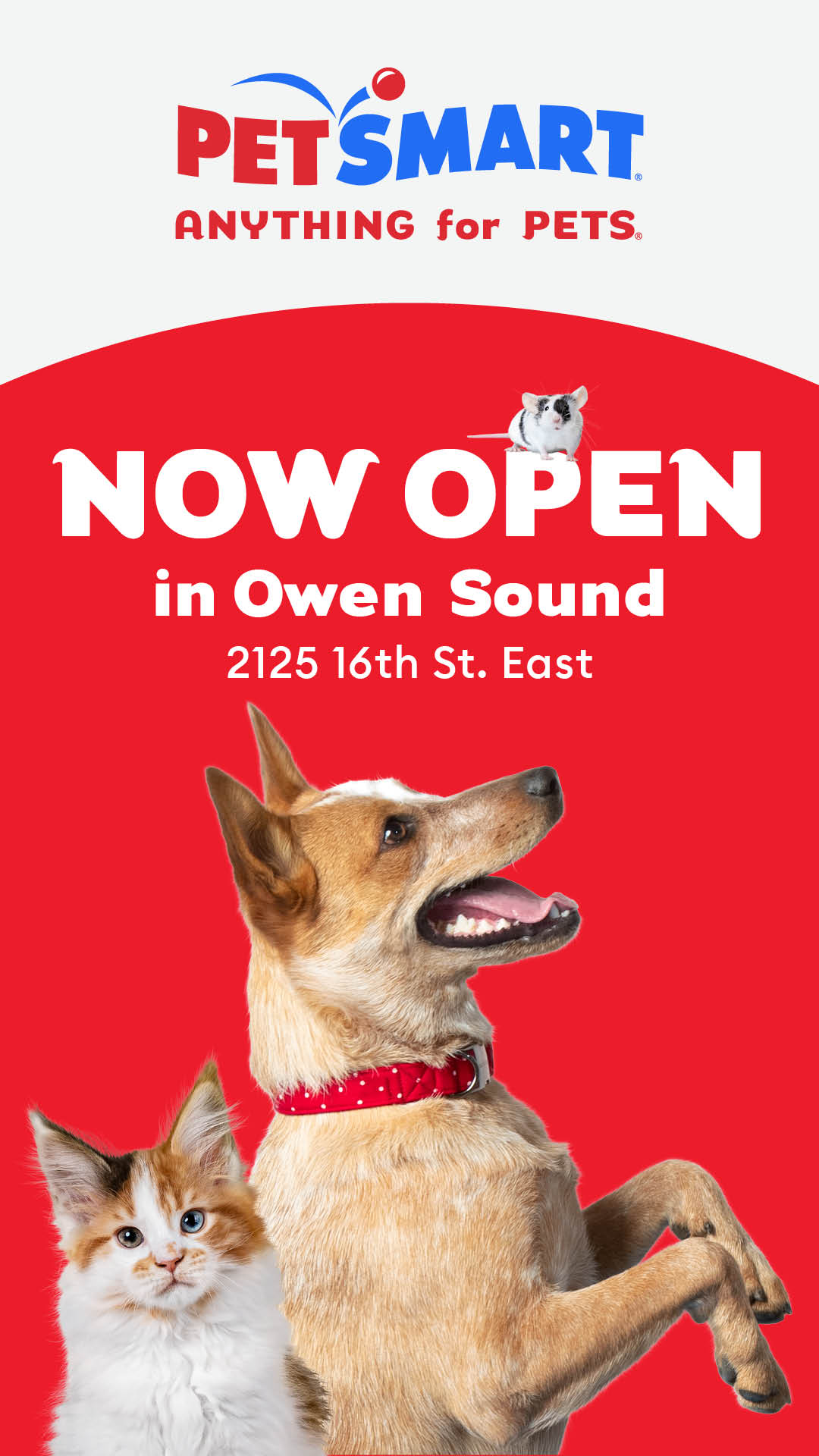 PetSmart Facebook ad