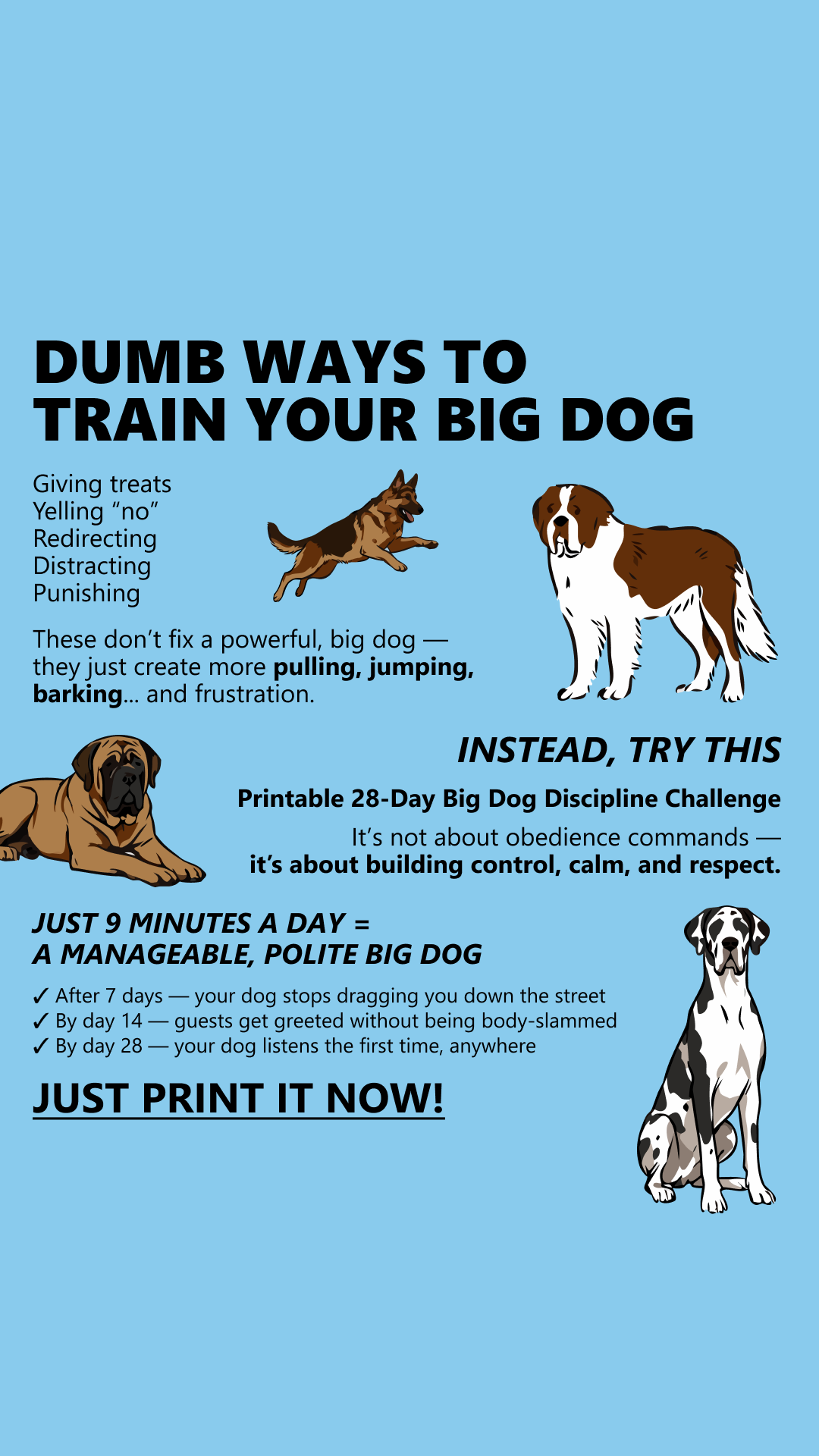 Dog Training Tips Facebook ad: Start Big Dog Discipline Challenge