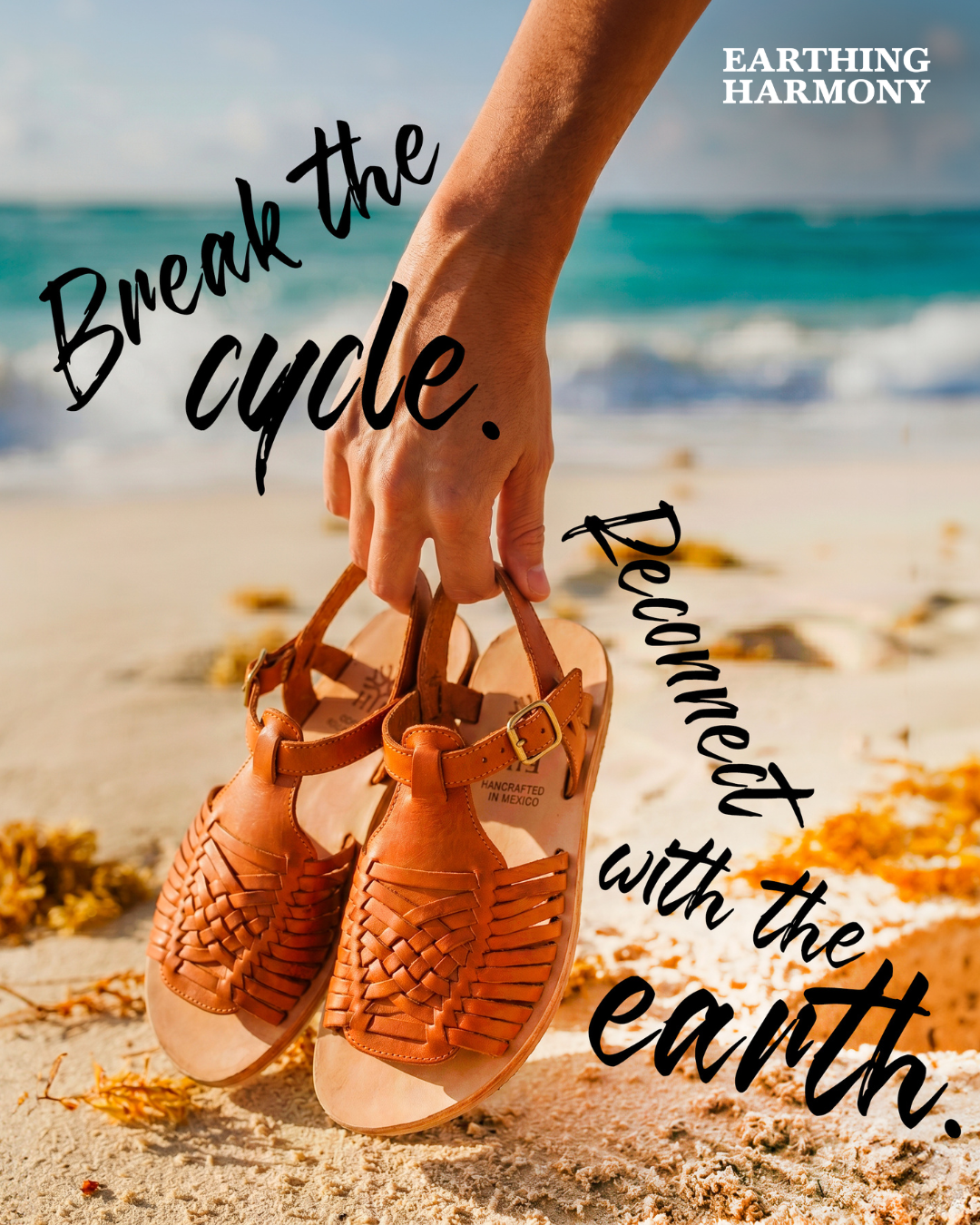 Earthing Harmony Facebook ad