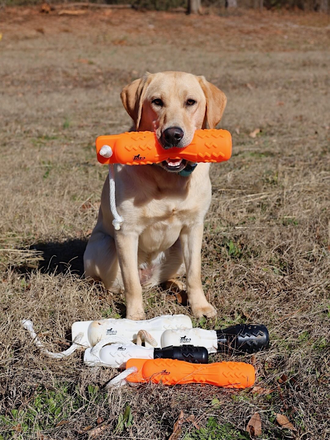 DT Systems Facebook ad: Introducing the NEW DT Systems Soft-Mouth Trainer GRIP-Tech…