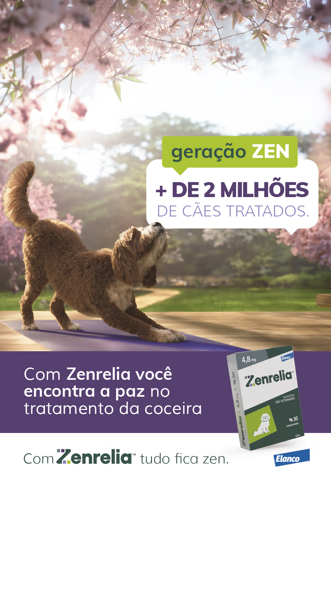 Elanco Pets Brasil Facebook ad