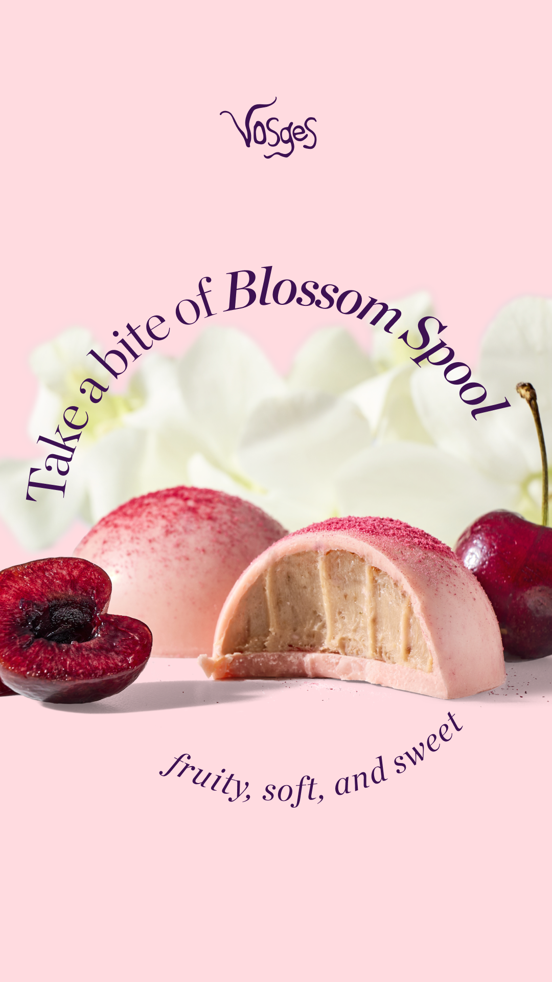 Vosges Haut-Chocolat Facebook ad