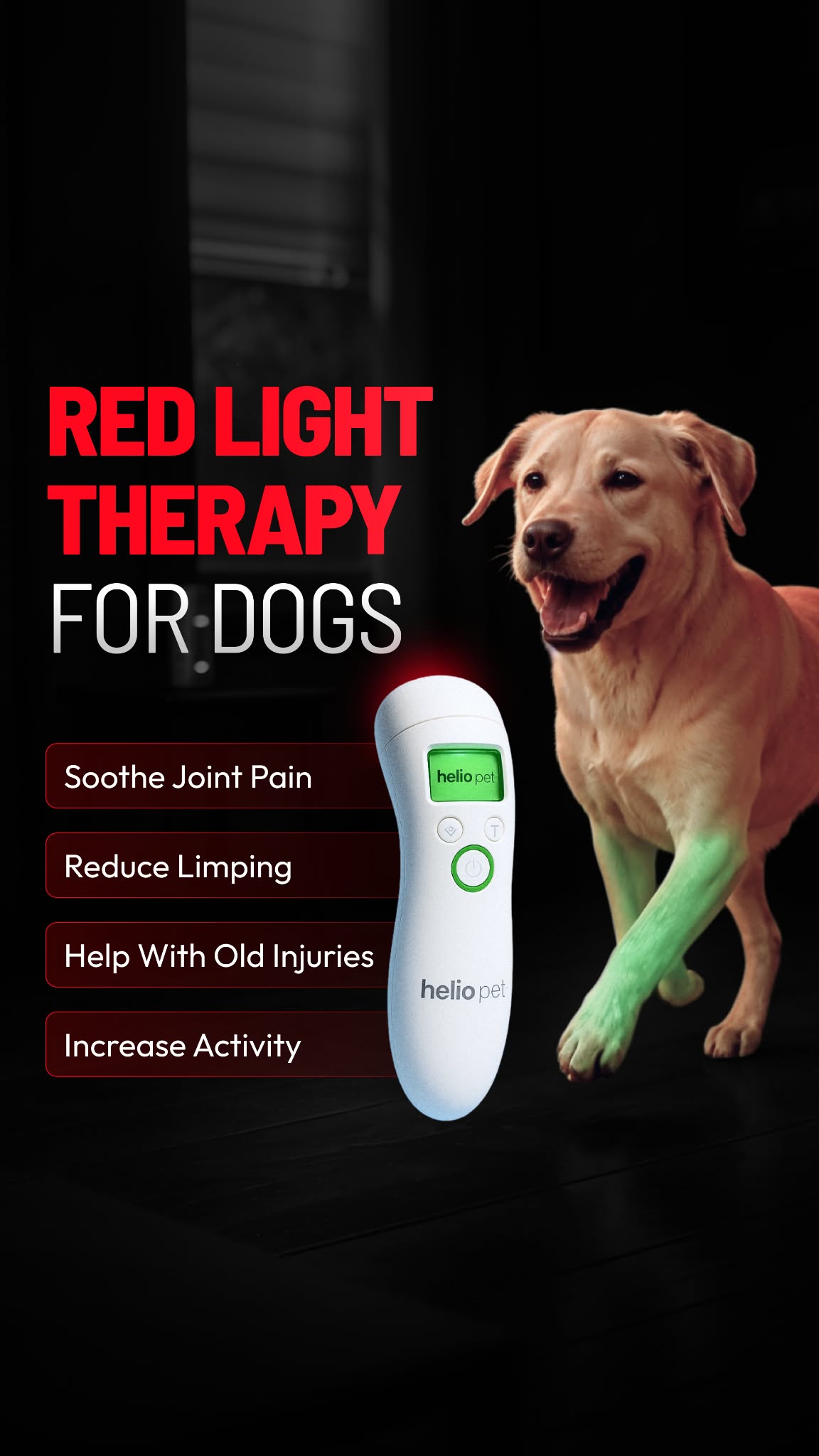 Helio Pet Facebook ad