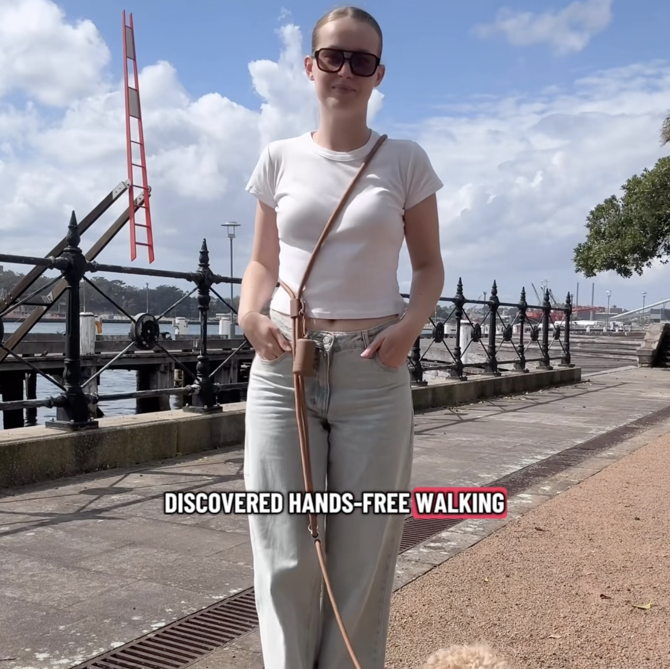 Runpup Facebook ad: Safer Walks Start Here