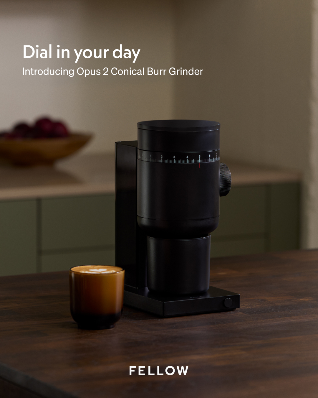 Fellow Facebook ad